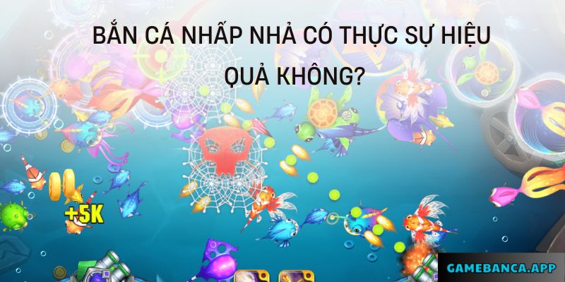 Bắn cá nhấp nhả có thực sự hiệu quả không