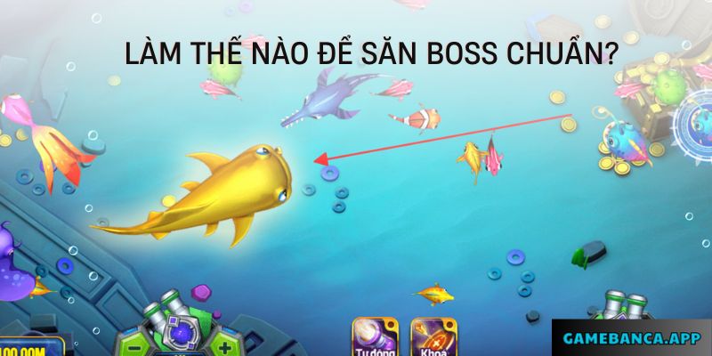 Làm thế nào để săn boss chuẩn